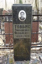 Товбис Эммануил Яковлевич, Москва, Востряковское кладбище